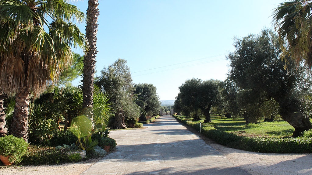 masseria-appia-traiana-ostuni-viale-ingresso masseria-appia-traiana-ostuni-viale-ingresso