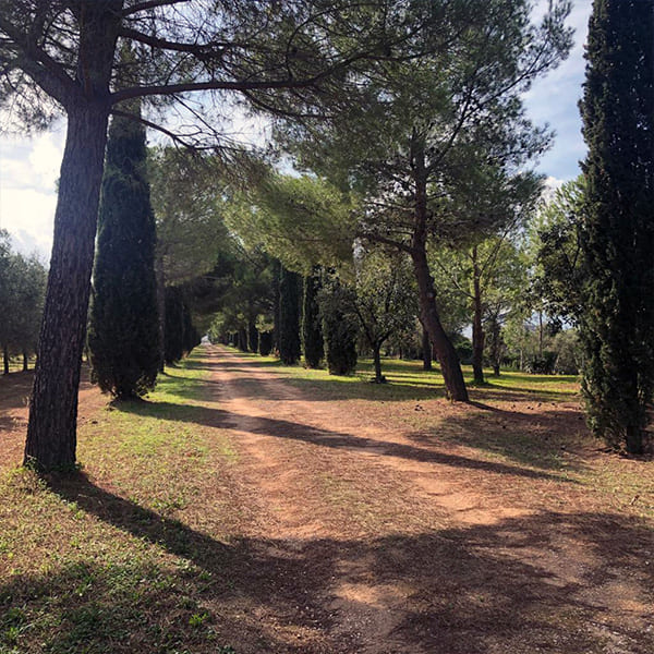 area-camper-masseria-appia-traiana-ostuni-brindisi-2