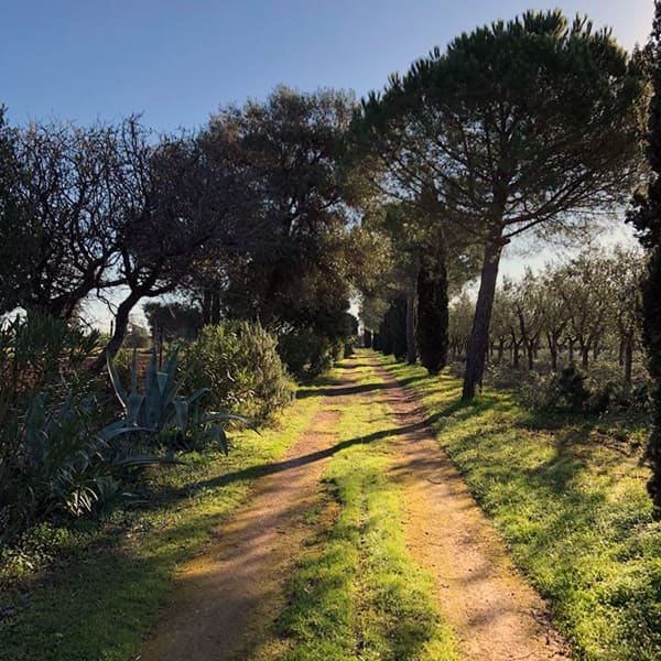 sosta-in-camper-ostuni-masseria-appia-traiana-brindisi-lecce-salento