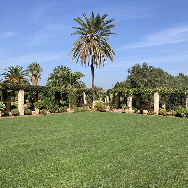 masseria-appia-traiana-area-sosta-attrezzata-camper-caravan-roulotte-ostuni-puglia masseria-appia-traiana-area-sosta-attrezzata-camper-caravan-roulotte-ostuni-puglia